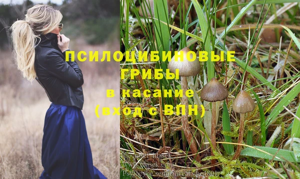 соль ск Абдулино