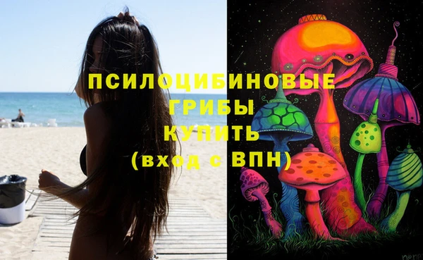 соль ск Абдулино
