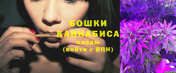 прущие грибы Сатка