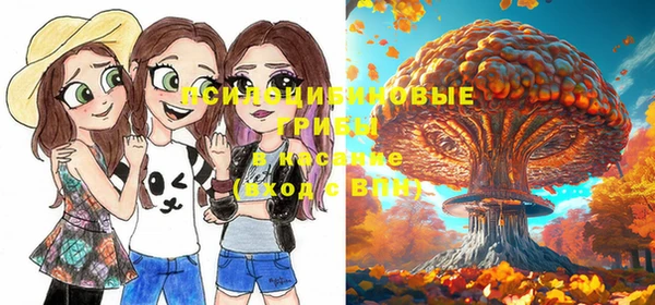 прущие грибы Сатка