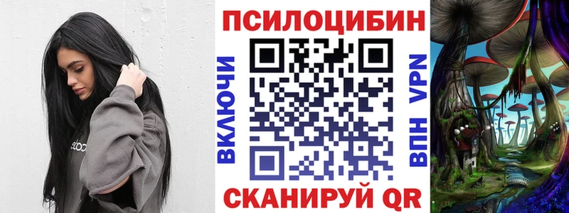 Псилоцибиновые грибы Cubensis  kraken как войти  Ирбит 