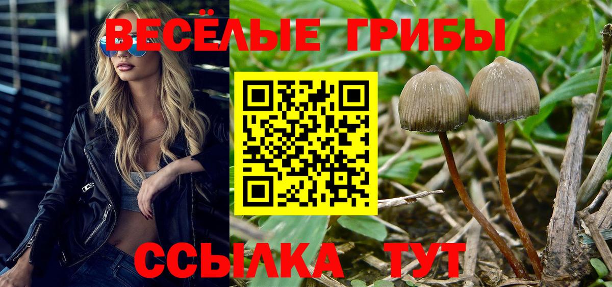 закладки  Галлюциногенные грибы Cubensis  Вход с VPN  Ирбит 
