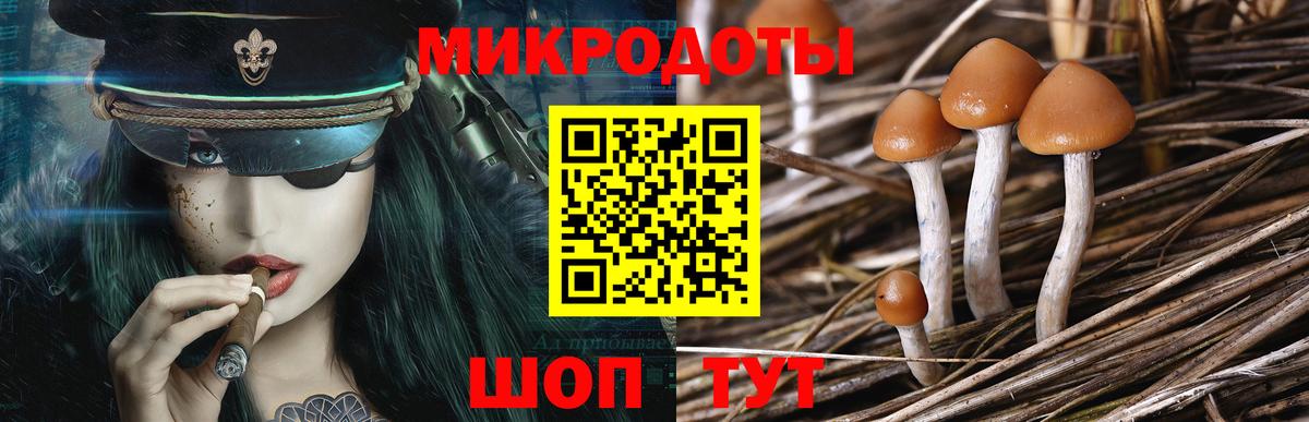 Псилоцибиновые грибы прущие грибы Ирбит